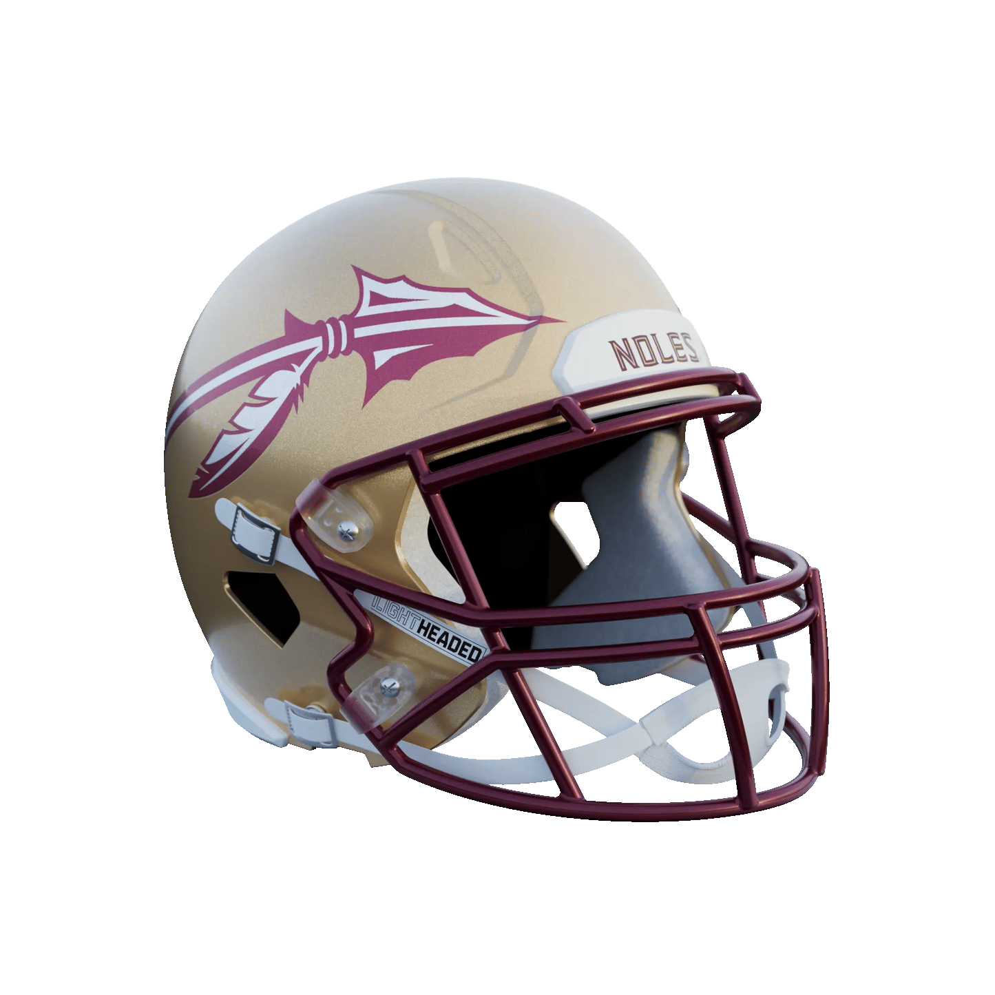 Florida State University Helmet
