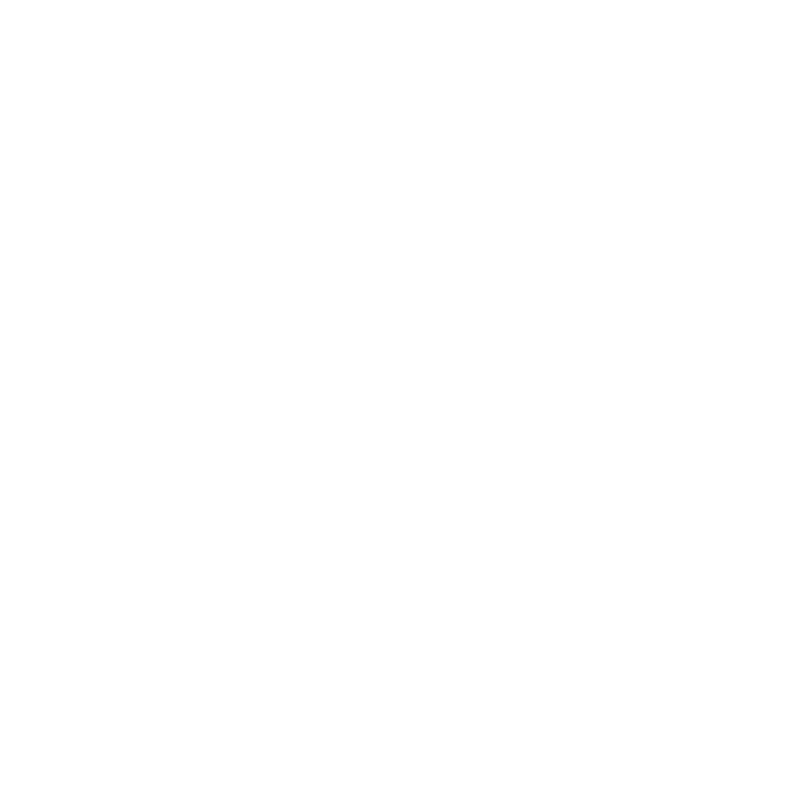 Collegiate Football Helmets