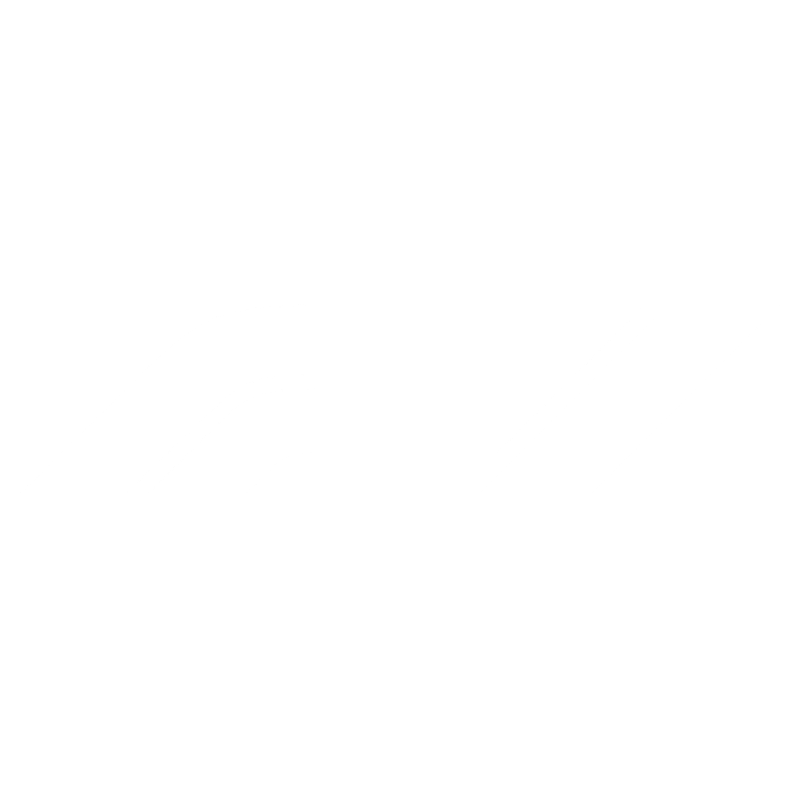 Motorsports