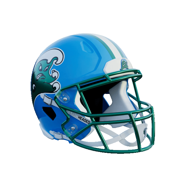 Tulane University Helmet